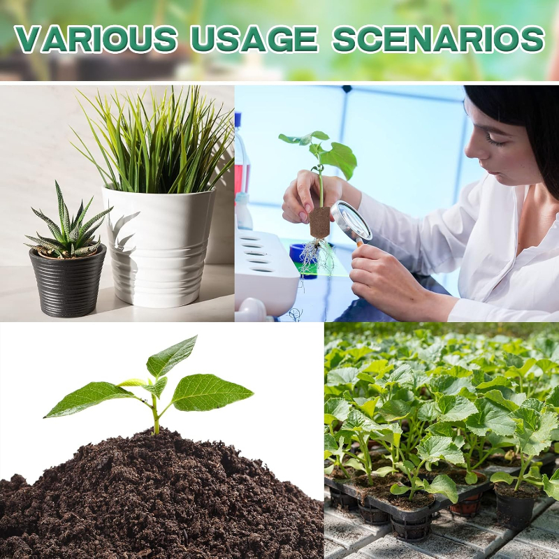 Plant Parent Kit - 20pc/40pc Hydroponic Sponge Plant Cloning Growth