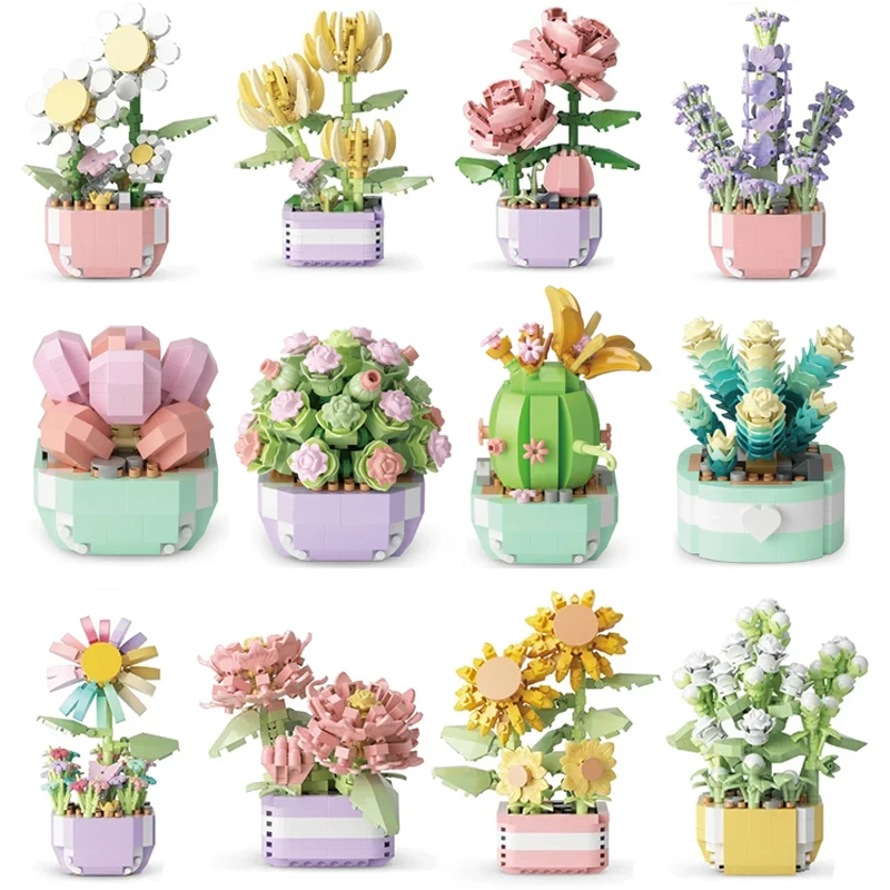 Flower Succulents Building Blo - Plant Parent Kit review and price