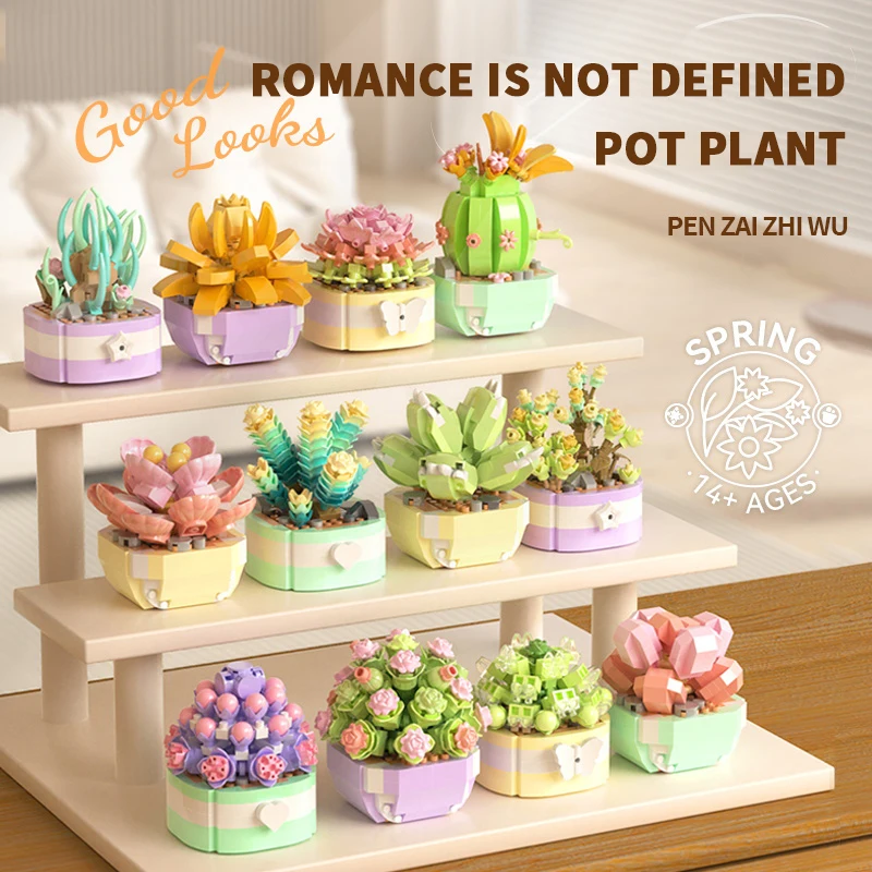 Flower Succulents Building Blo - Plant Parent Kit review and price