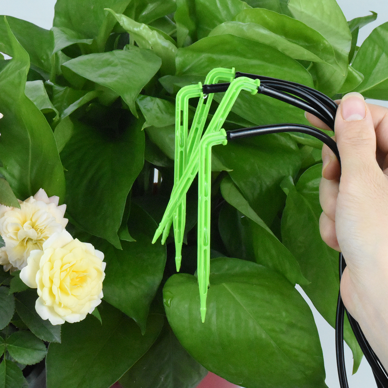 KESLA Garden 4/7mm to 3/5mm Ho - Plant Parent Kit review and price