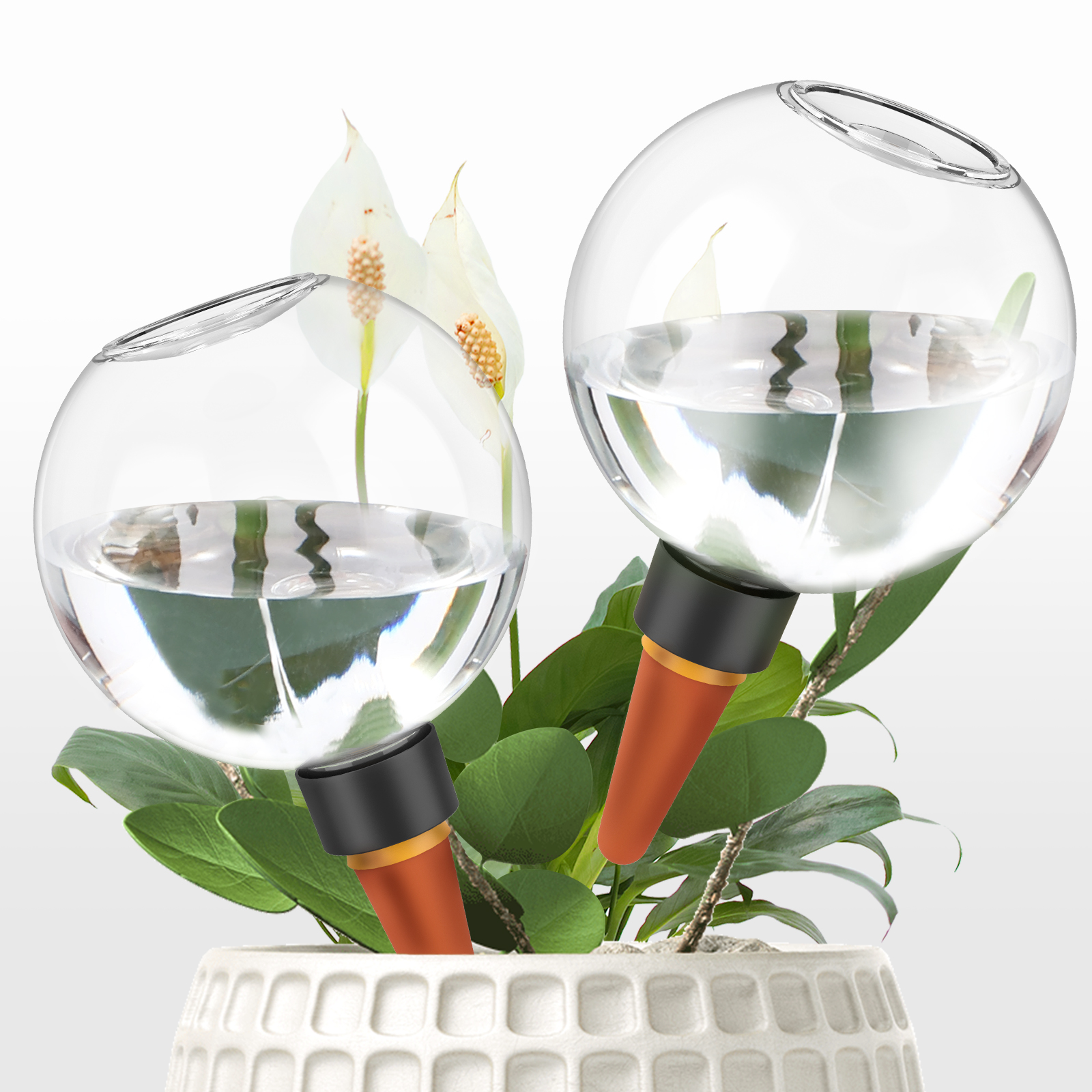 2/4Pcs 500ML Automatic Drip Ir - Plant Parent Kit review and price