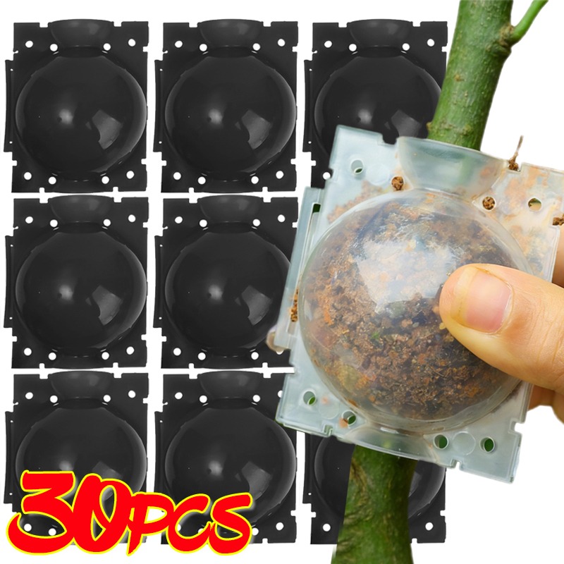 Reusable Plant Rooting Ball Gr - Plant Parent review and price