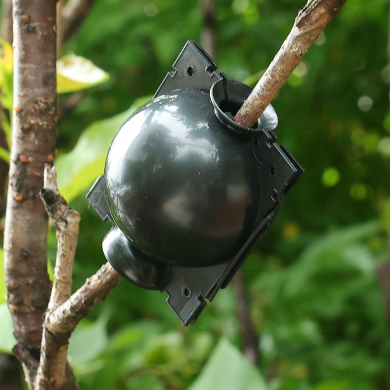 Reusable Plant Rooting Ball Gr - Plant Parent review and price