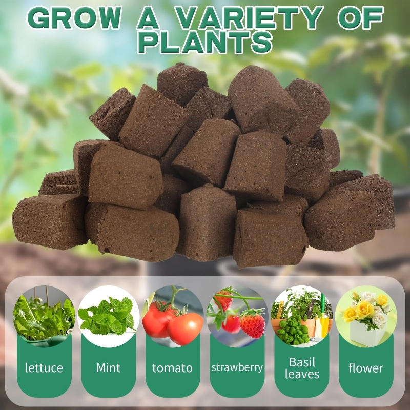 20pc/40pc Hydroponic Sponge Pl - Plant Parent Kit review and price