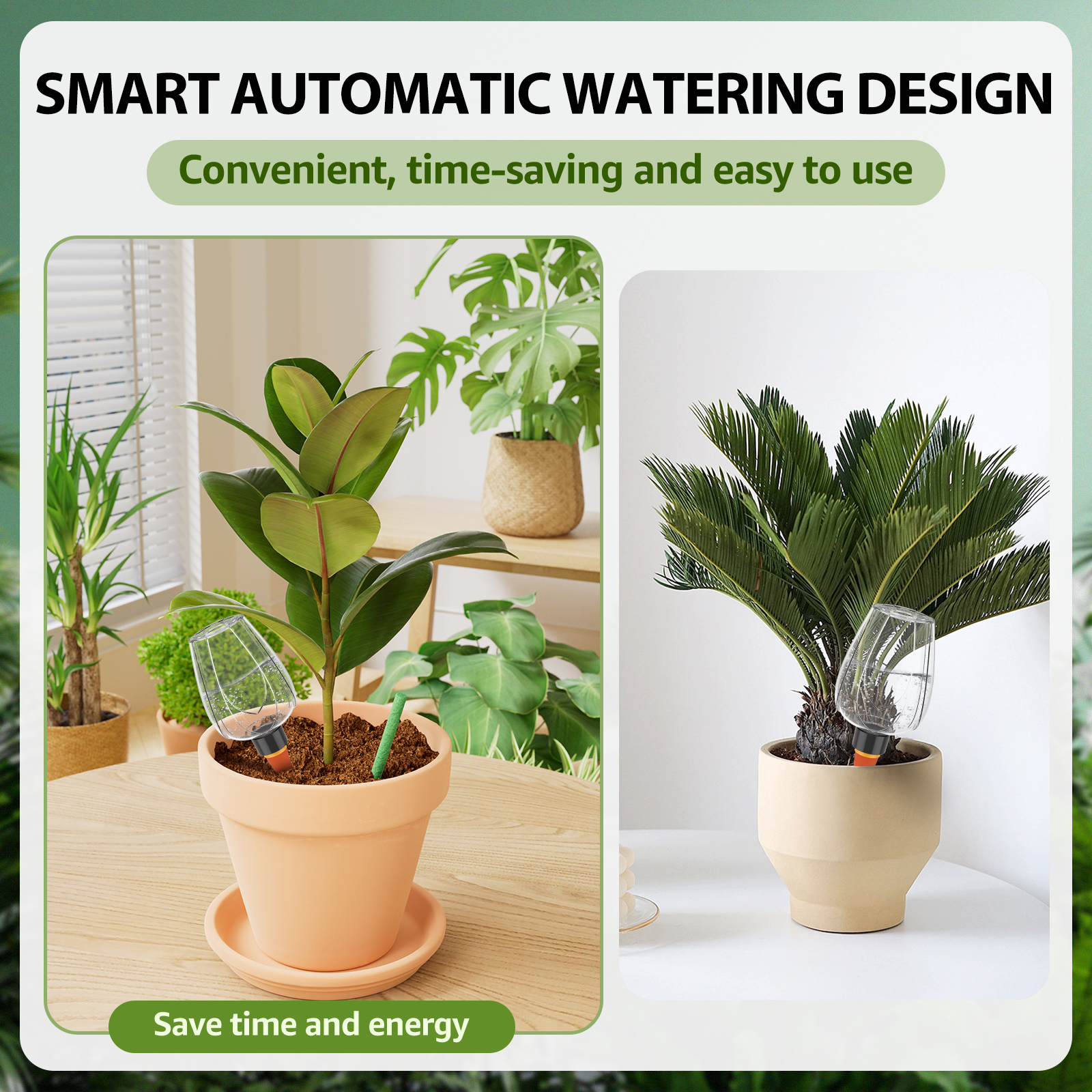 4Pcs Plant Watering Balls 350M - Plant Parent Kit review and price