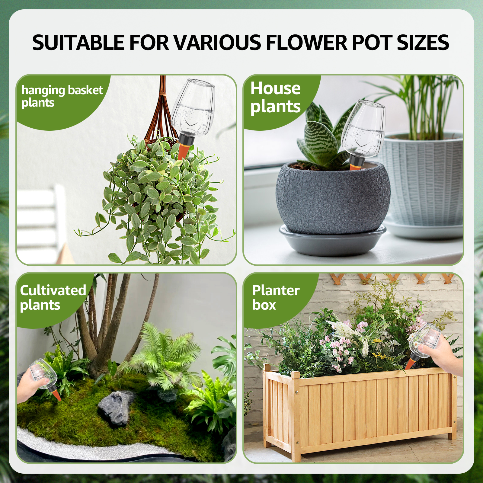 4Pcs Plant Watering Balls 350M - Plant Parent Kit review and price