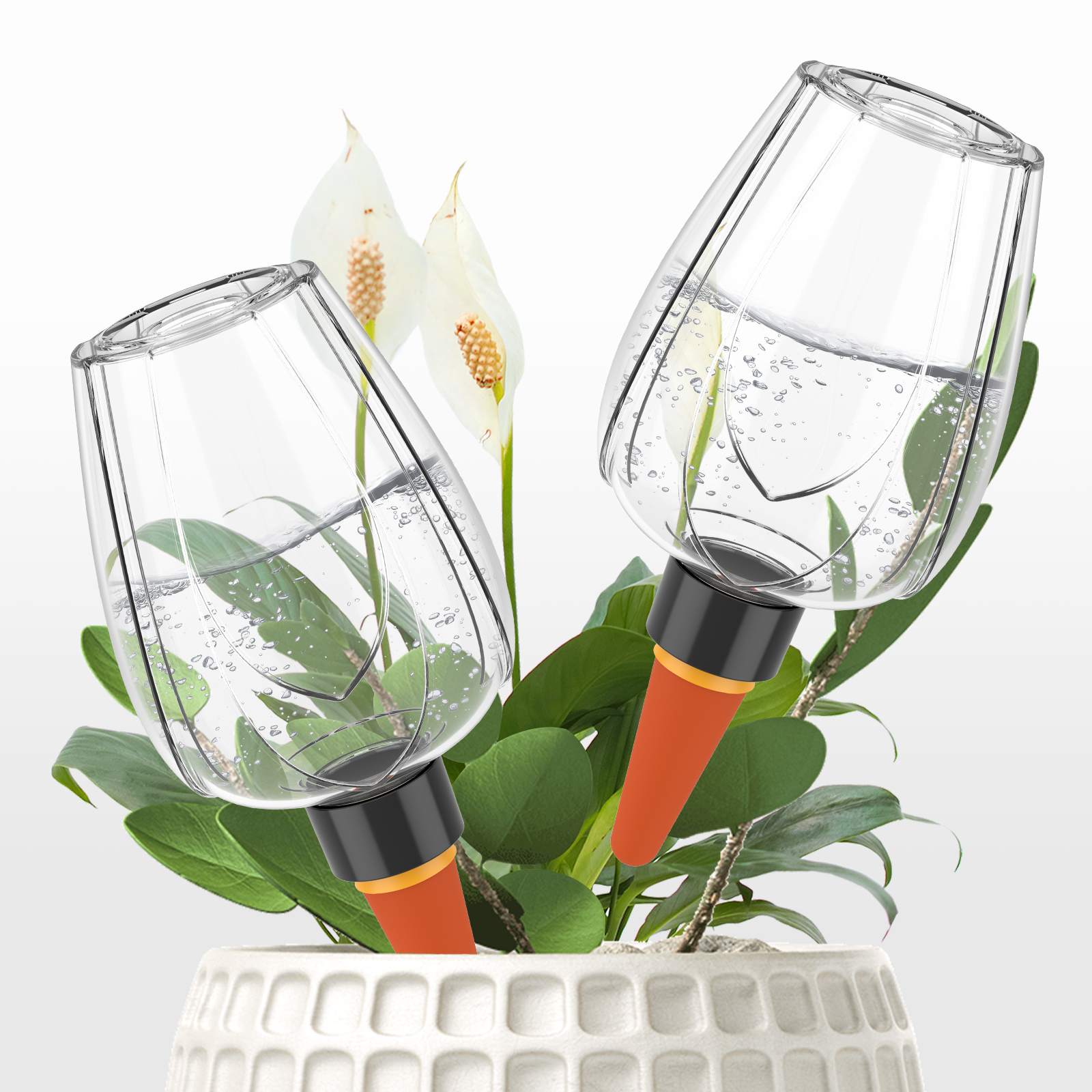 4Pcs Plant Watering Globe Clea - Plant Parent Kit review and price