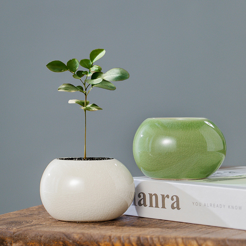 Ice Crack Glazed Ceramic Flowe - Plant Parent review and price