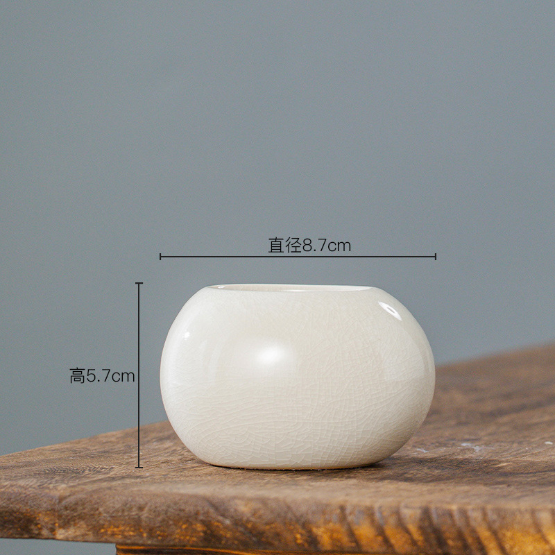 Ice Crack Glazed Ceramic Flowe - Plant Parent review and price