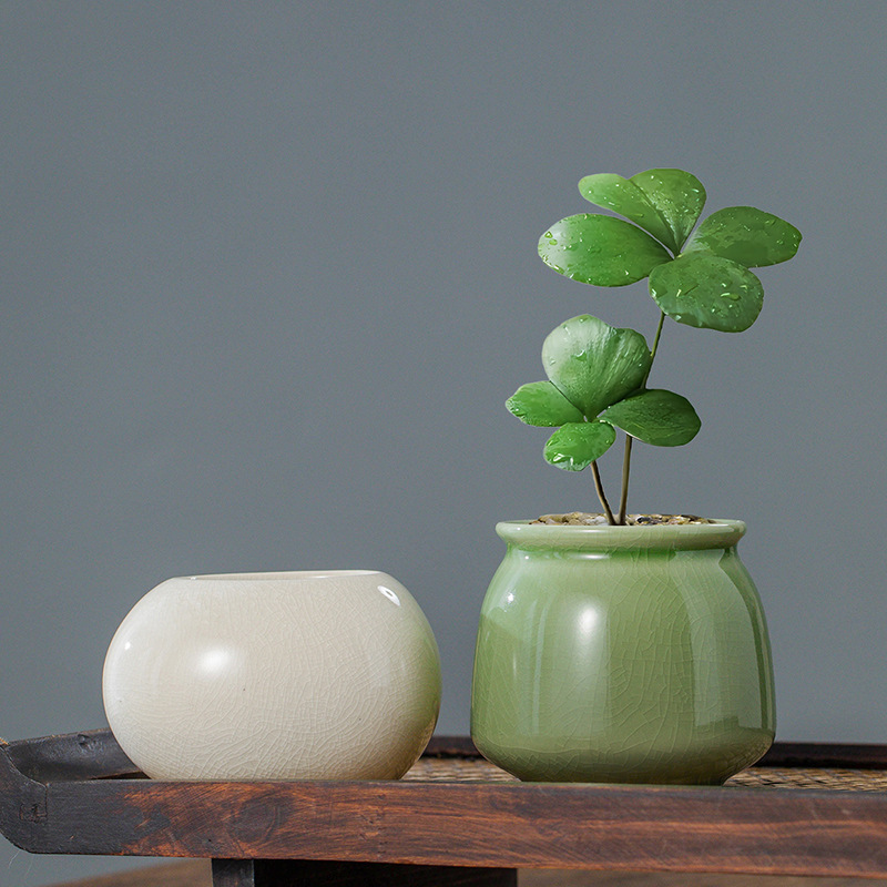 Ice Crack Glazed Ceramic Flowe - Plant Parent review and price