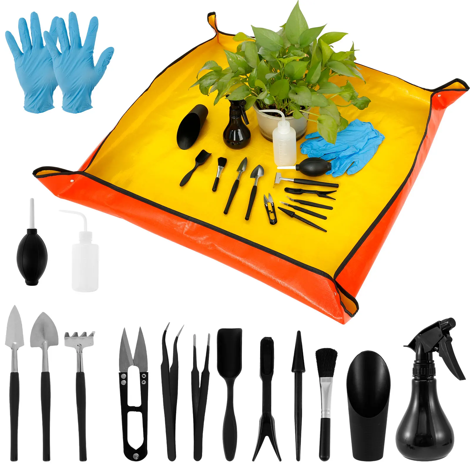 13/16Pcs Garden Succulent Plan - Plant Parent Kit review and price