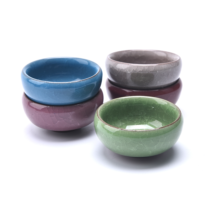 Cute Ice-Crack Glaze Flower Ce - Plant Parent review and price