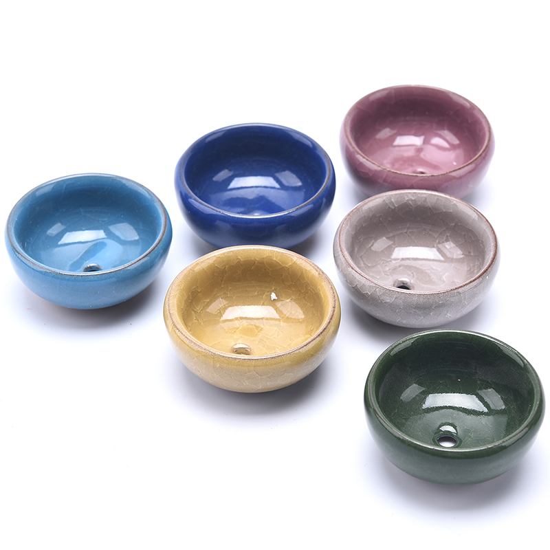Cute Ice-Crack Glaze Flower Ce - Plant Parent review and price