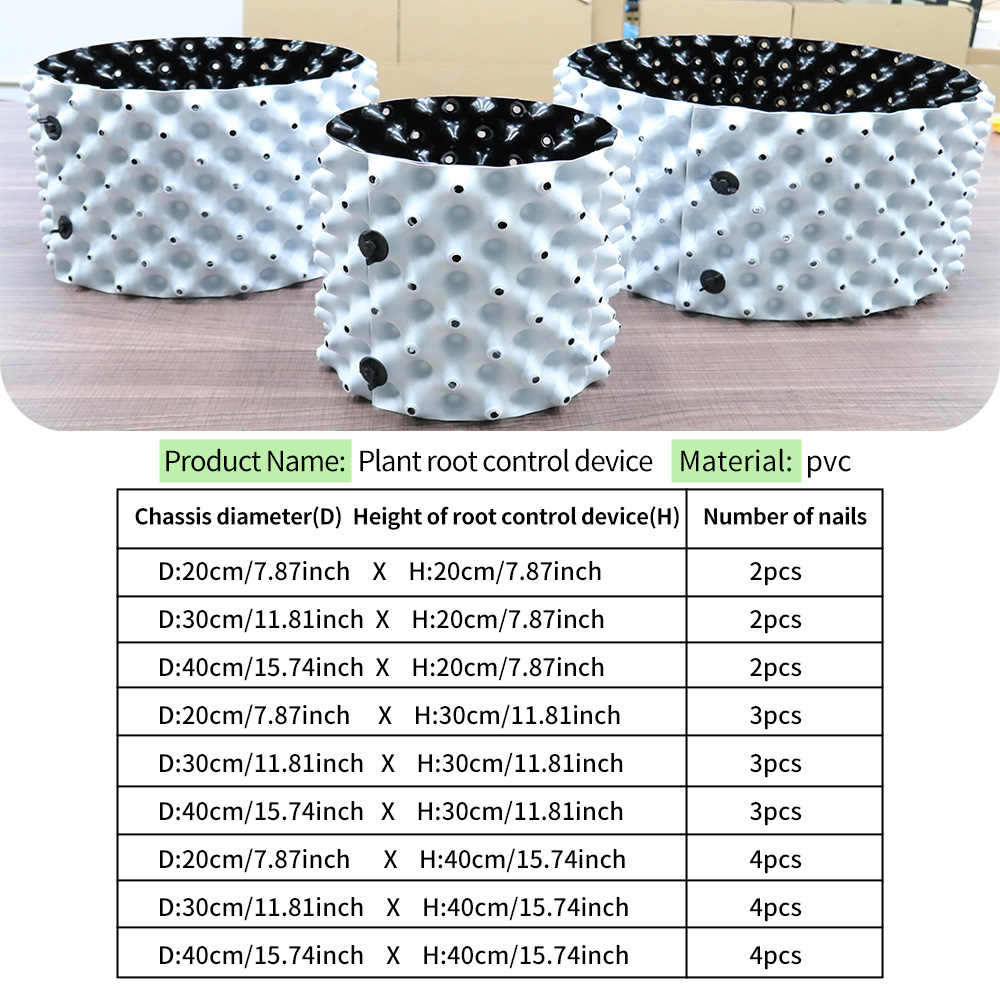 Thickened Enlarged Dual Color  - Plant Parent review and price