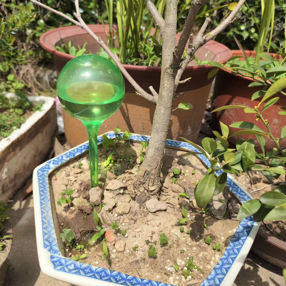 Automatic Plant Watering Bulbs - Plant Parent Kit review and price