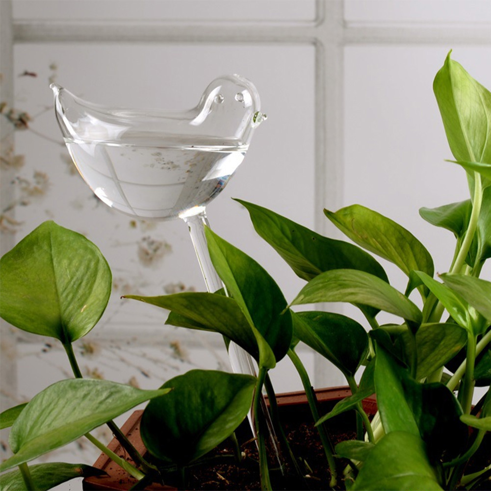 Automatic Plant Watering Bulbs - Plant Parent Kit review and price
